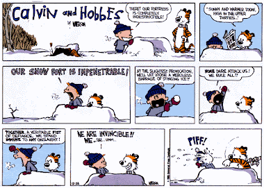 CALVIM and HOBBES :)