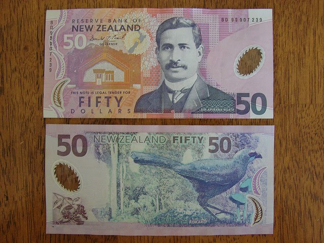 Izzy ROX!!!: $50 dollar note!!!!