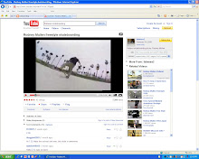 Web Page Screen Capture