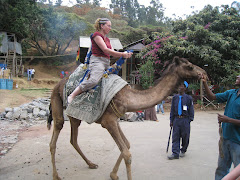 Camel Ride Anyone?