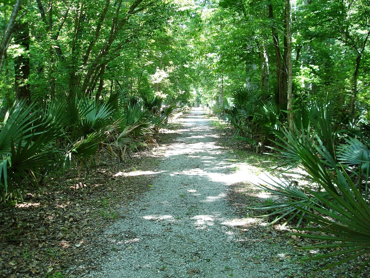 pic journal Ring Levee Trai