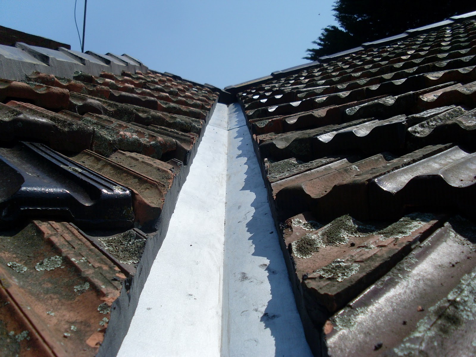waynes home renos diy Pointing the ridge caps roof tiles