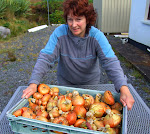 Eileen with organic onion harvest