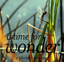 A Time for Wonder