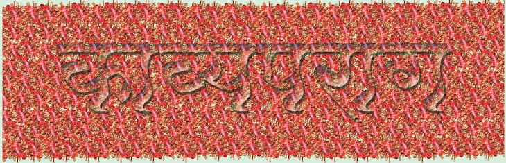 काव्यपराग