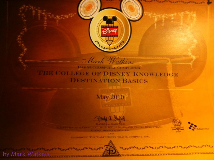 The Walt Disney World Picture of the Day The College of Disney