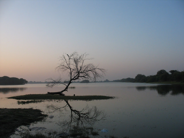 thol lake bird sanctuary ahmedabad gujarat travel