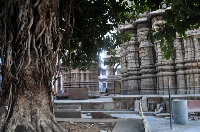 vadnagar narendra modi gujarat morning hathkeshwar temple banyan tree