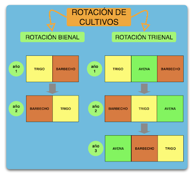 Resultado de imagen de rotación de cultivos bienal y trienal