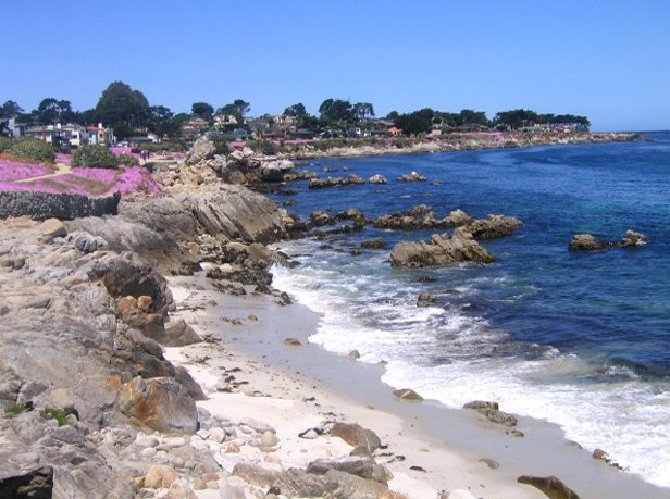 [Pacific_Grove.jpg]