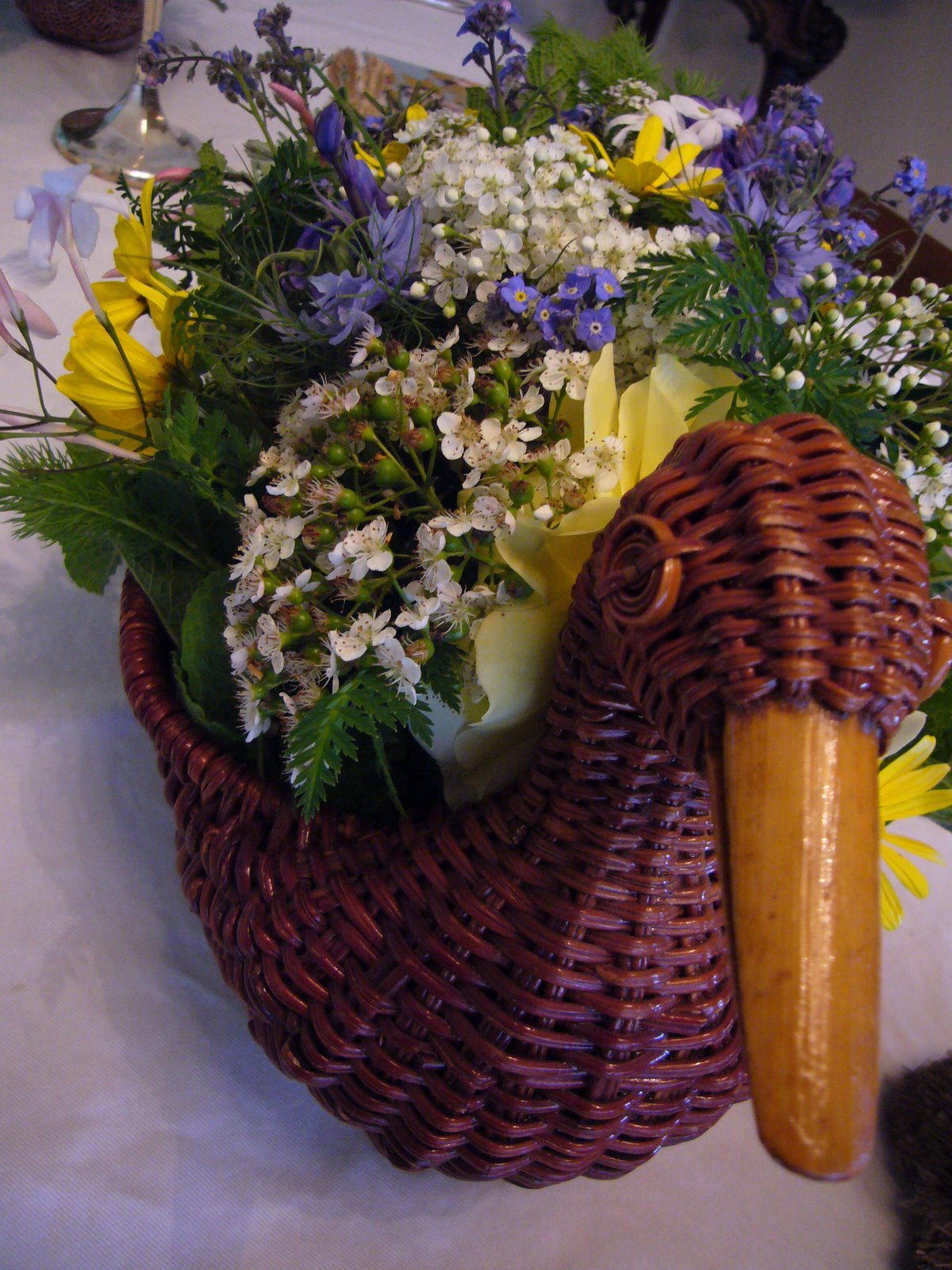 [P1050413.JPG]