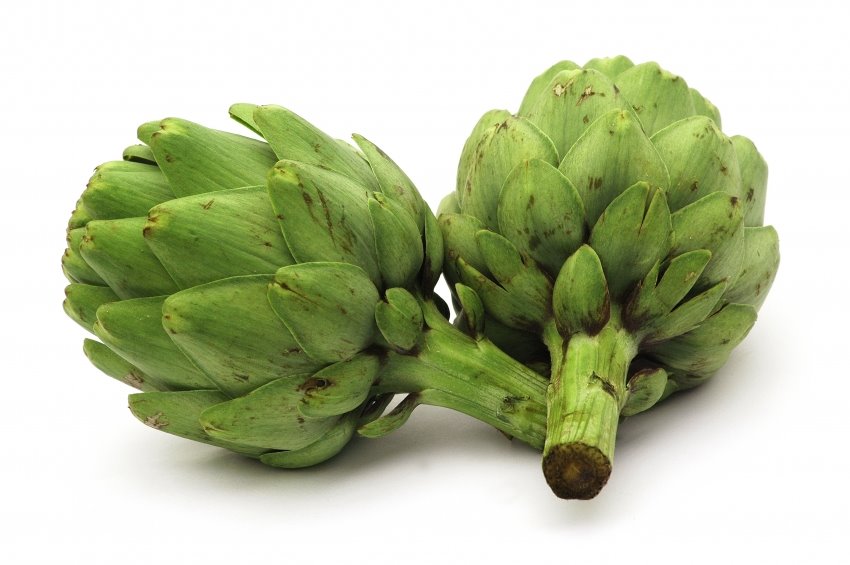 [artichoke1.jpg]