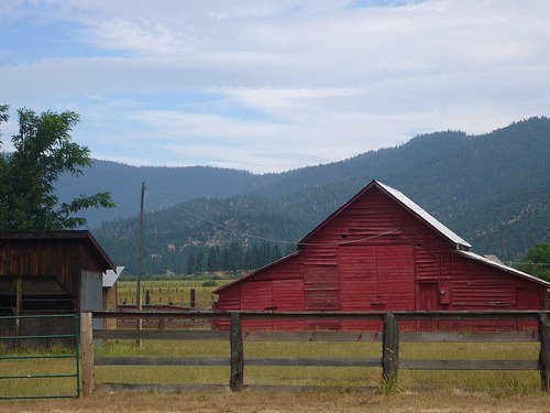 [3715704738_e508a4a0d2.jpg]