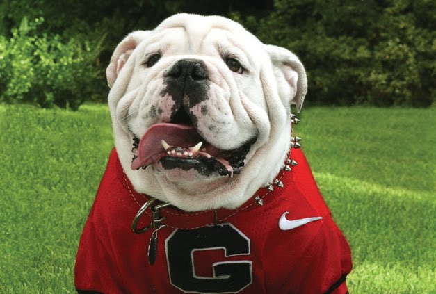The Sporting Dudes Eulogy For Uga The Sporting Dudes Eulogy For Uga