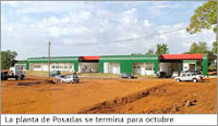 En Misiones, comienza a funcionar la biofábrica que producirá plantas a partir de la clonación