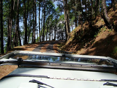 Visit to Binsar sanctuary in an open top jeep