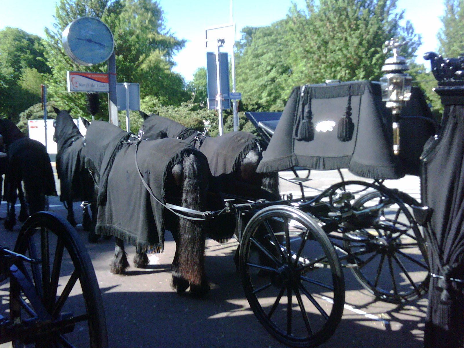 The Big Adventure Life in Holland! The HorseDrawn Funeral Procession