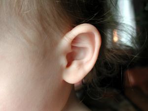 [baby_ear[1].jpg]