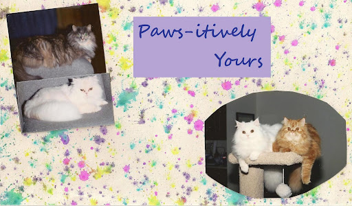 Paws-itively Yours