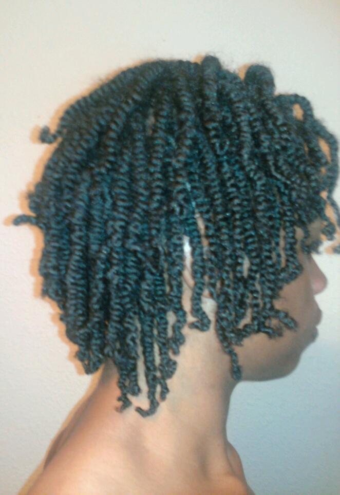 Dawnyele <em>Natural Beauty</em> Journey <em>Small Two Strand Twists</em>
