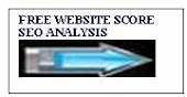 Whats your website score?