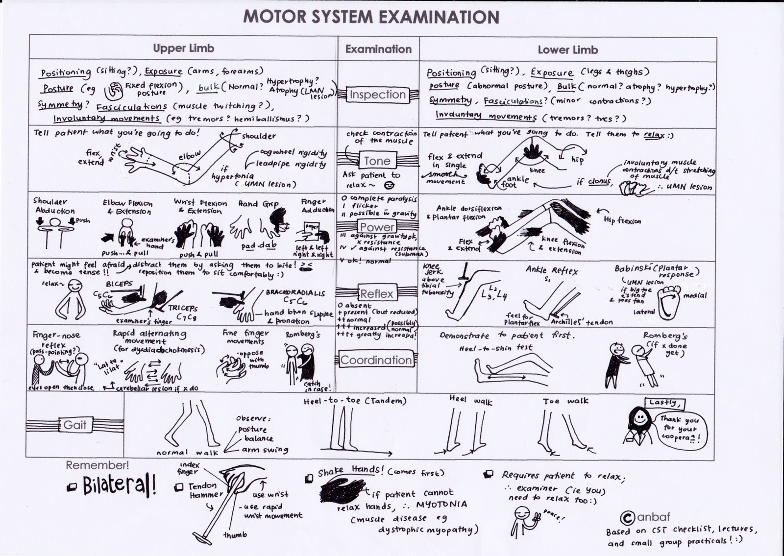 ALIa's Extra Notes Products