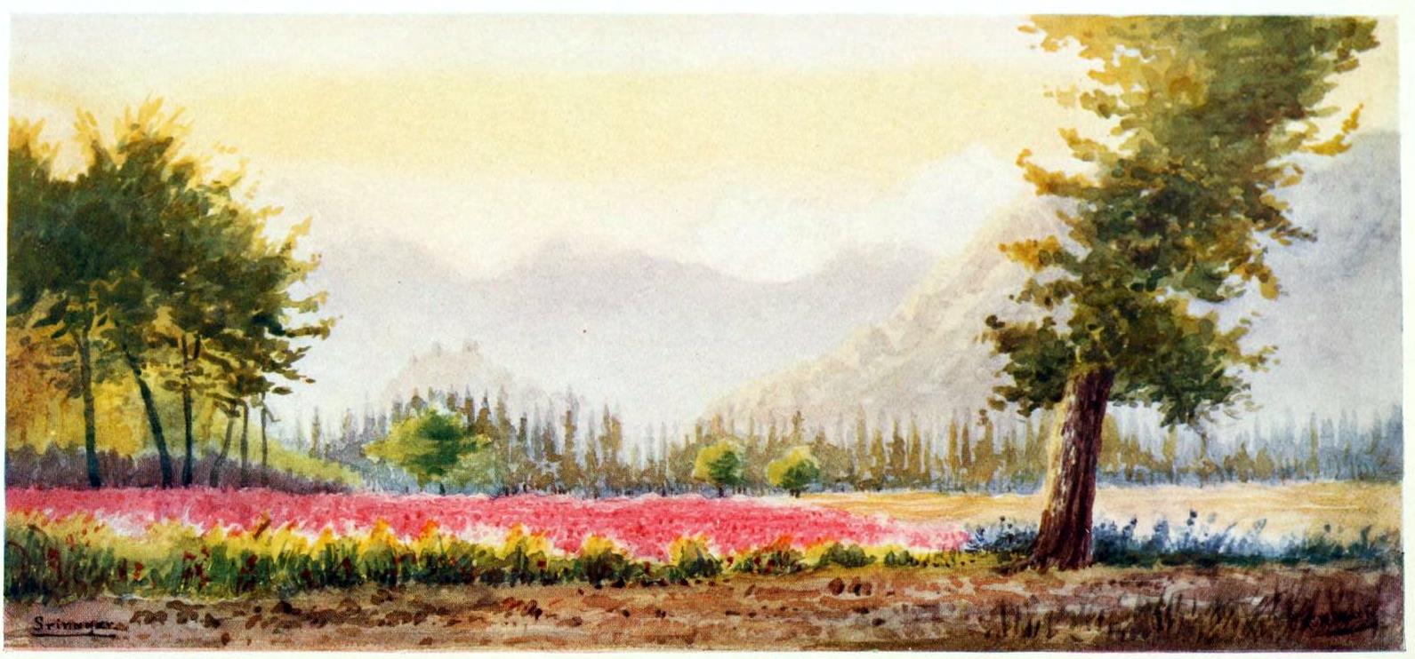 Kashmir Colors, 1915 Search Kashmir