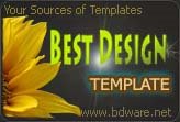 Best Design Template and Layout