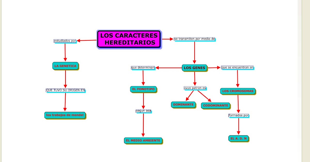 PAOLA ERIKA MAPA CONCEPTUAL CARACTERES HEREDITARIOS PAOLA ERIKA MAPA CONCEPTUAL CARACTERES HEREDITARIOS