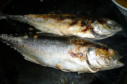Resepi Ikan Cencaru Bakar