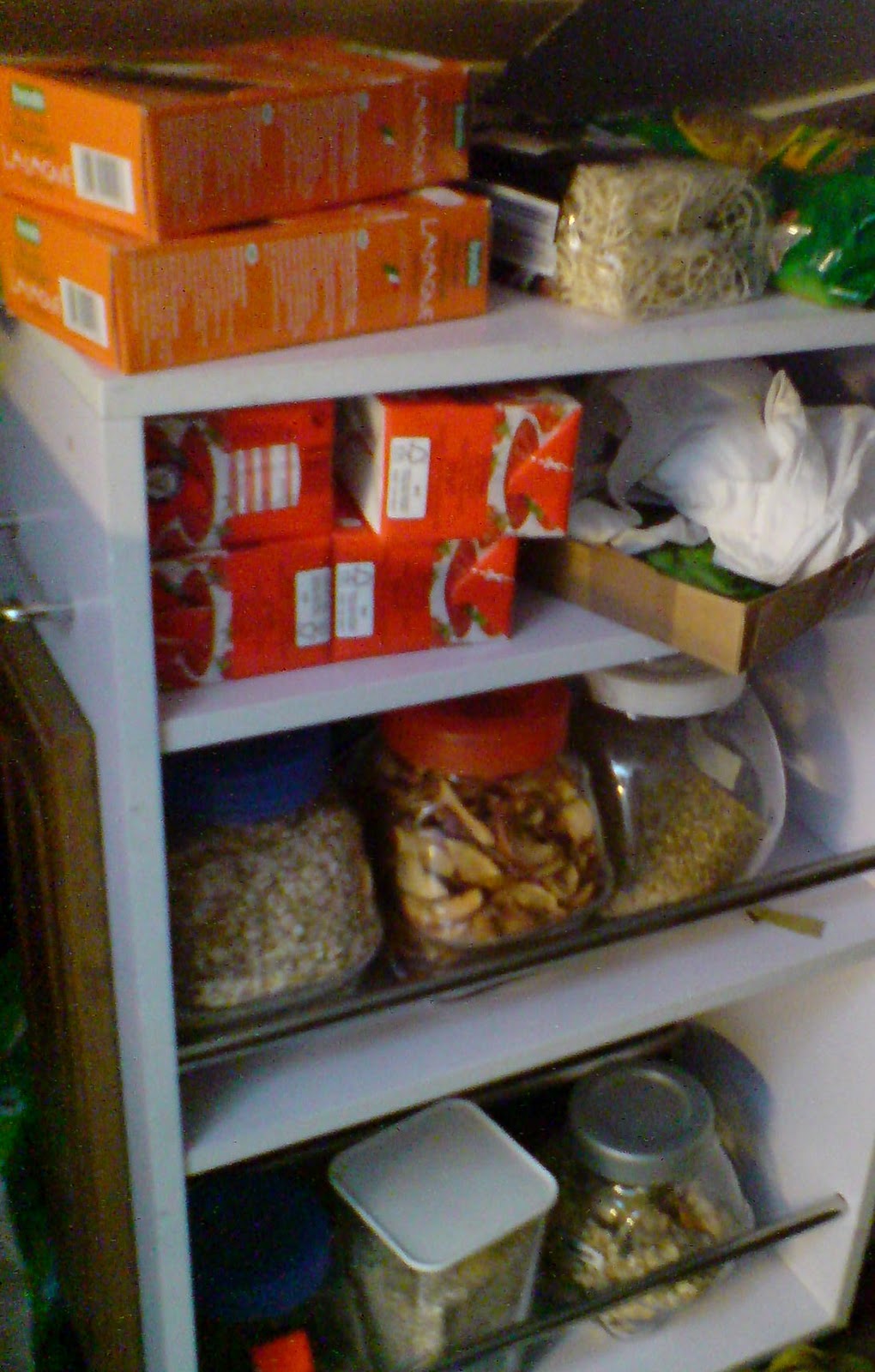Vegane Küche: Eine vegane Küche - wie sieht die aus?