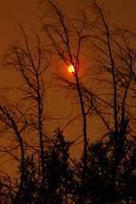 Sunset of fire - Big Creek, Idaho