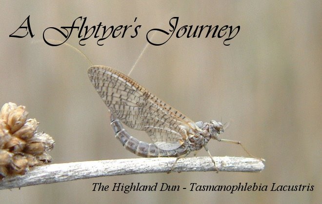 A Flytyer's Journey