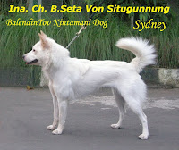 Indonesia Champion B.Seta Von Situgunung a.k.a. Sydney