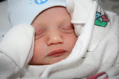 Camden Lee Mortinson