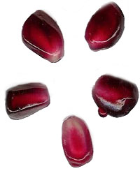 [nar+çekirdeği.jpg]