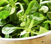 [su+teresi++mucize+iksirler.jpg]