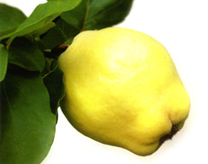 [ayvanın+faydaları.jpg]