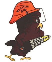 hawk chicken looney tunes drill fanpop hotlinking stop please jude almost daily