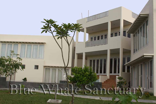 BLUE WHALE | Villa Ekslusif di Tanjung Lesung BLUE WHALE | Villa Ekslusif di Tanjung Lesung
