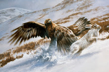 Golden eagle and blue hare