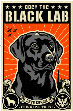 black lab poster