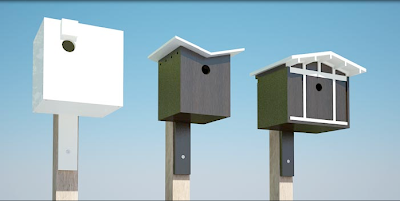 neoshed birdhouses