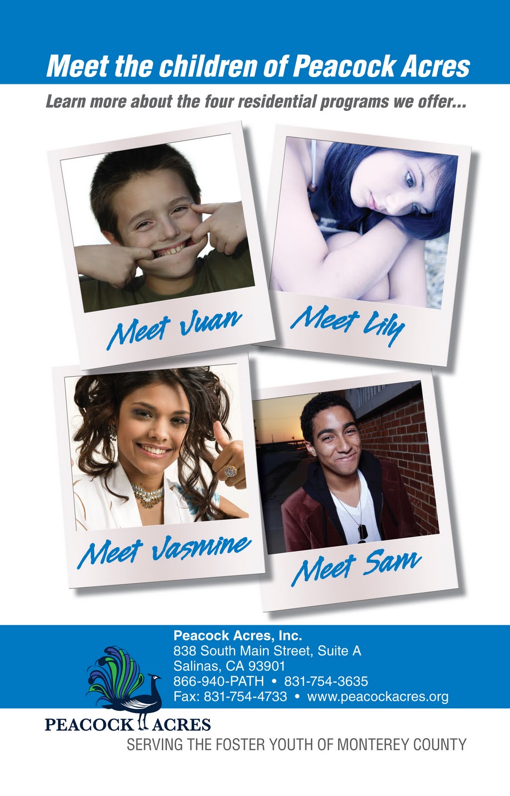 Robert Deckman Portfolio Brochure for Peacock Acres