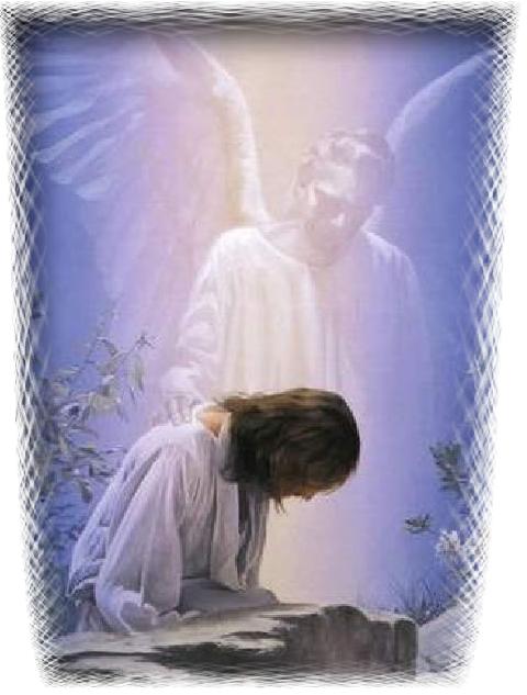 Experiencias Con Angeles