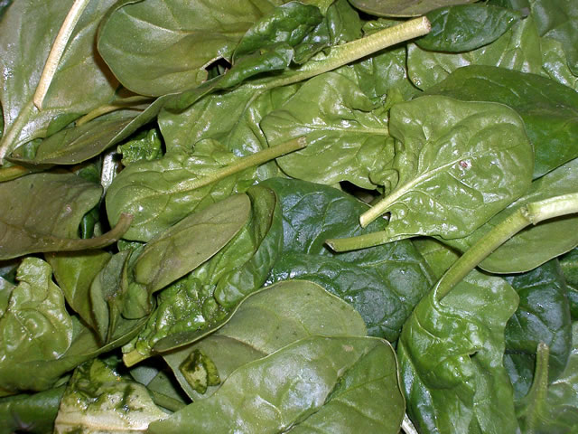 [spinach1[2].jpg]