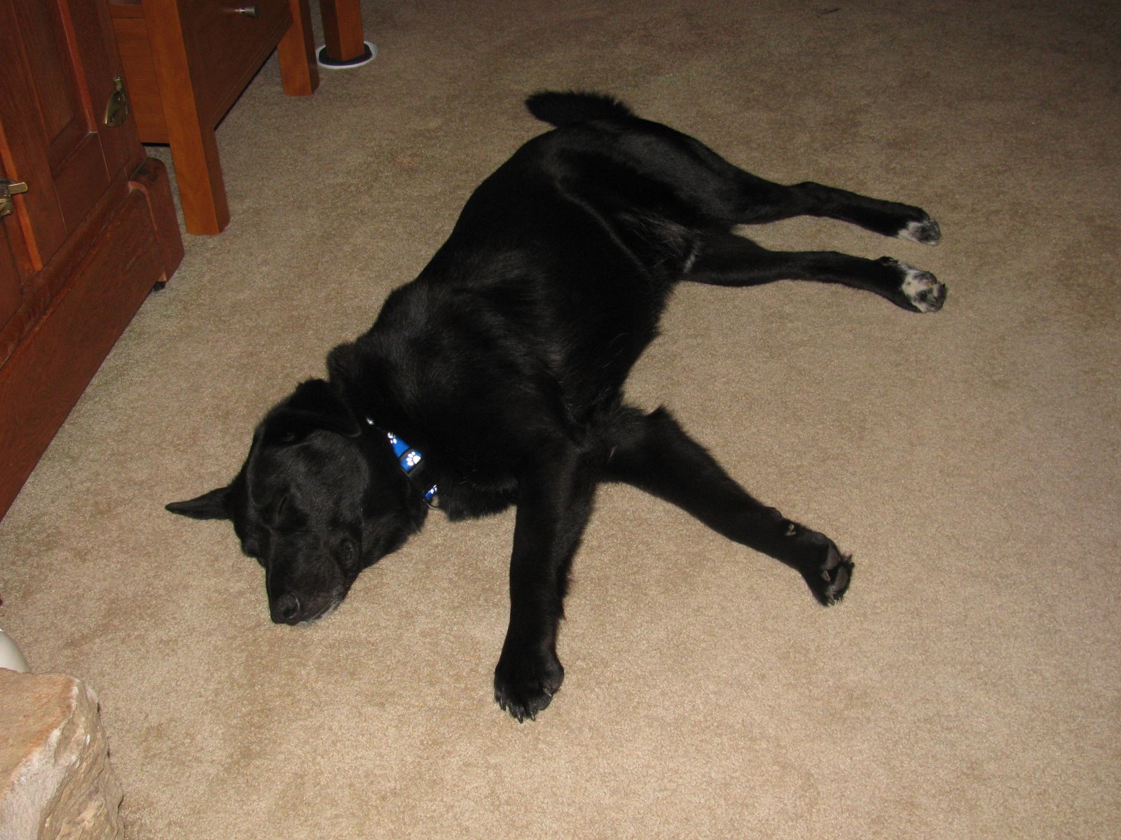 [JacksonatGramandPaps.JPG]