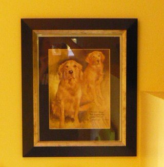 [dogpictures+002.JPG]