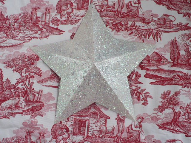 [glittered+star.JPG]
