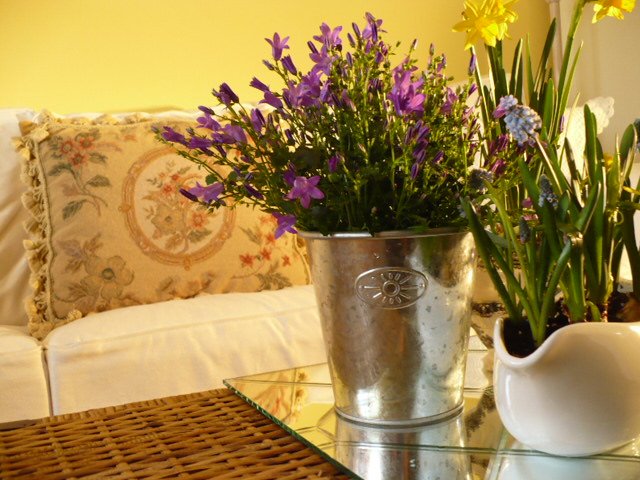 [galvanizedbucket.JPG]